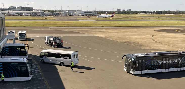 Carbridge Duos & Rosa